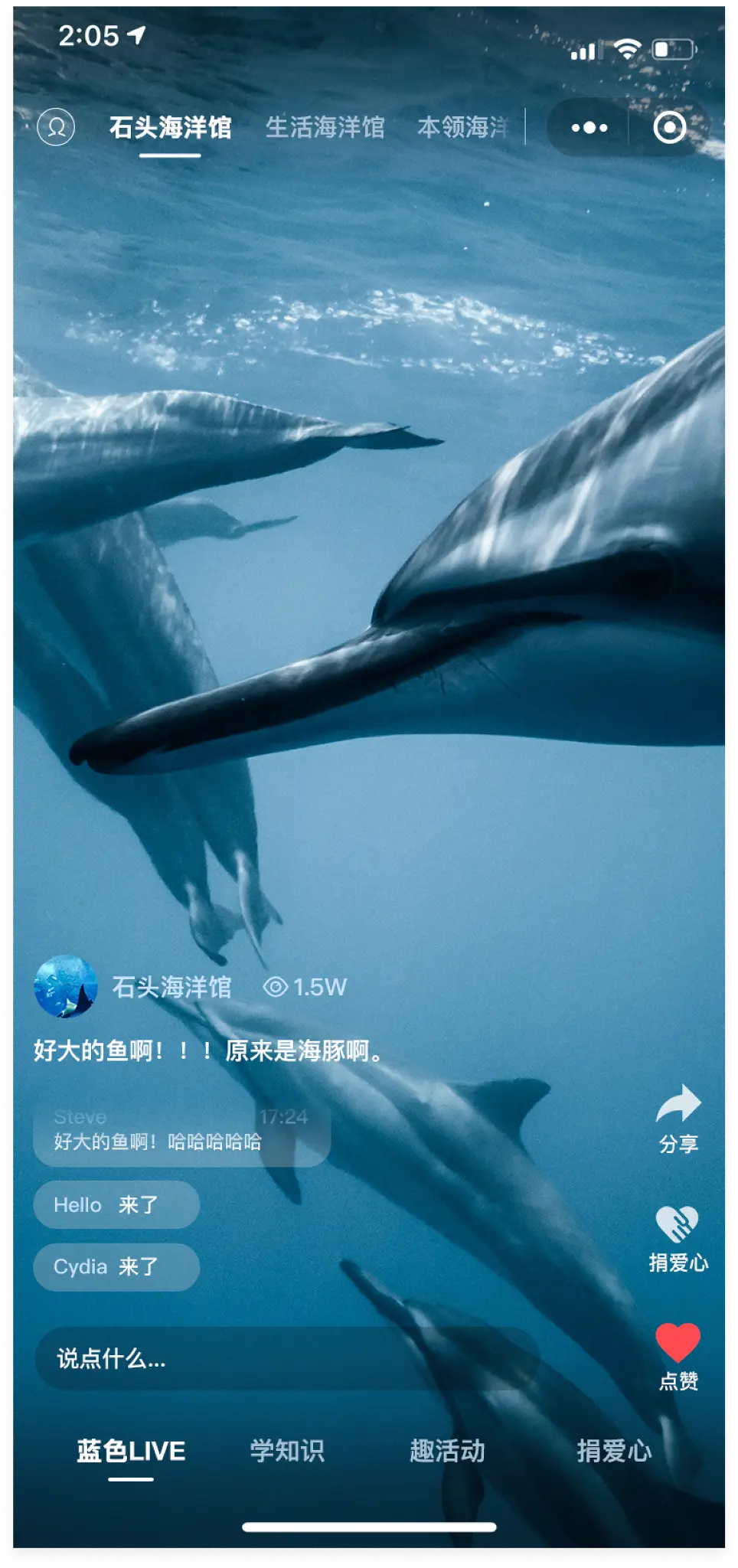 Full-screen immersive stream